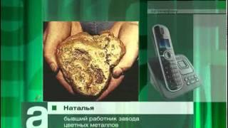 В Красноярском крае с предприятия украли 15 кг золота